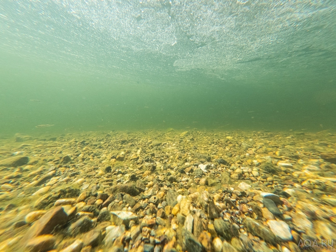 Александровская вода. Дно Байкала. Что на дне Байкала. Дно озера Байкал фото. Картинки дно Байкала с пирса.