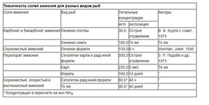 как понять что азотный цикл установился в аквариуме. картинка как понять что азотный цикл установился в аквариуме. как понять что азотный цикл установился в аквариуме фото. как понять что азотный цикл установился в аквариуме видео. как понять что азотный цикл установился в аквариуме смотреть картинку онлайн. смотреть картинку как понять что азотный цикл установился в аквариуме.