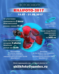 для форума