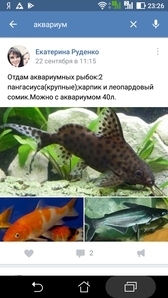 Для форума