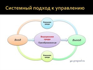 Фотография для форума аквариумистов #517545