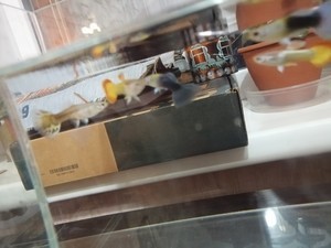 Для форума