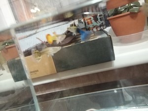 Для форума