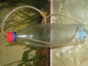 aqa.ru 20110128172816