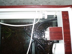 Картинка с форума