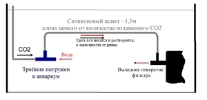 Картинка с форума