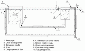 Картинка с форума