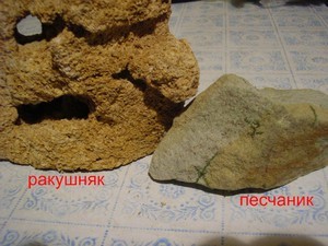 Картинка с форума