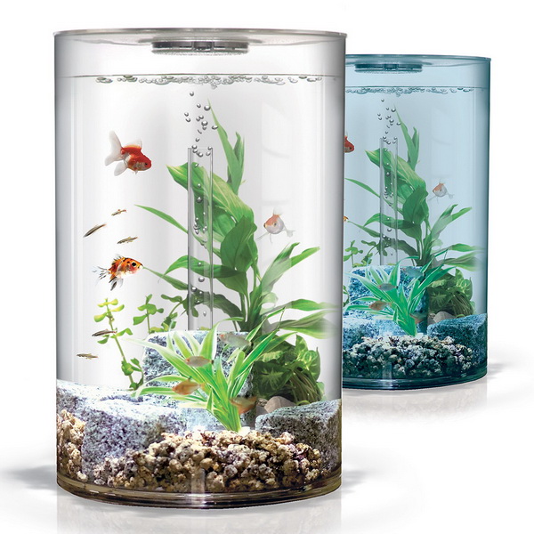 Как выбрать аквариумный грунт: виды, советы и правила