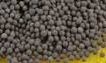 Миниатюра для версии от 10:17, 16 июля 2016