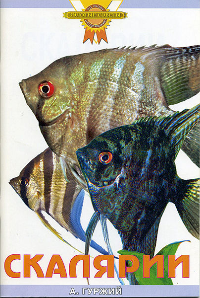 Файл:Img002s.jpg